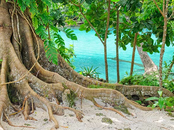 Escale Vanuatu (Vila)